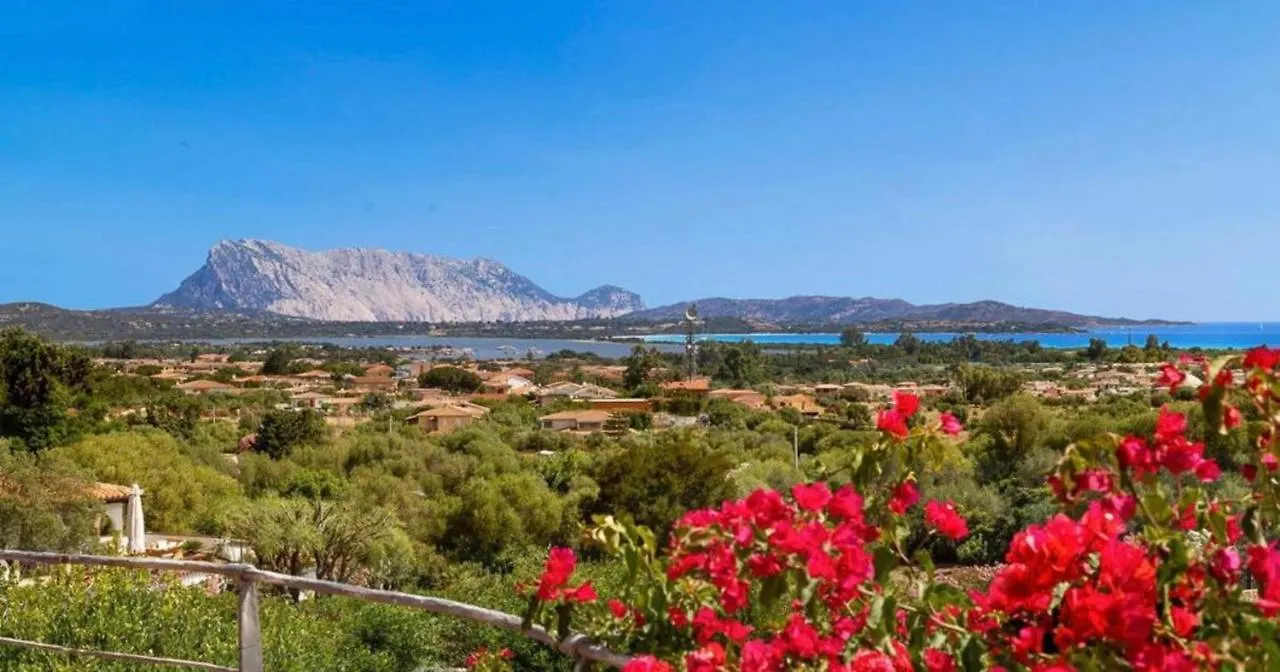 Villa Runcina San Teodoro  0*, San Teodoro (Sardinia) Italy