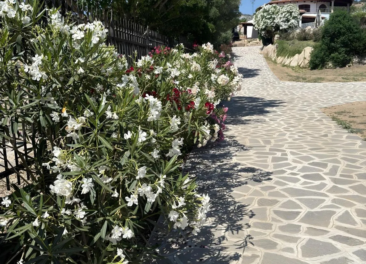 Villa Runcina San Teodoro